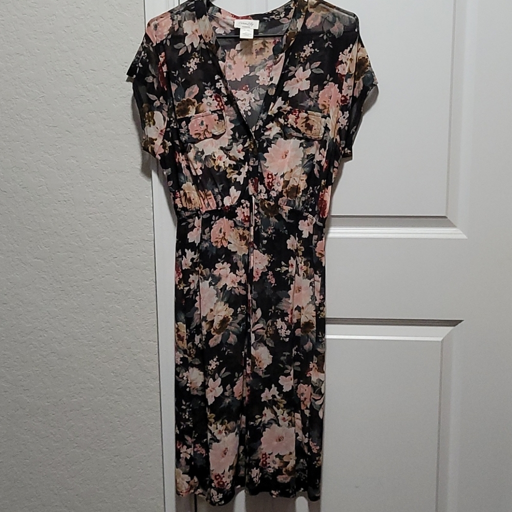 Women's maternity polyester sheer dress